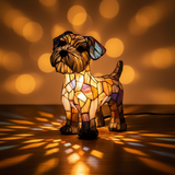 Strahlender Terrier