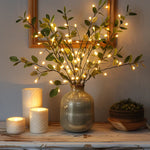 Lichtfee Weinrebe Olive