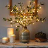 Lichtfee Weinrebe Olive