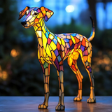 Strahlender Whippet