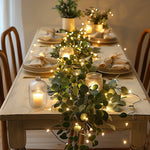 Lichtfee Weinrebe Olive